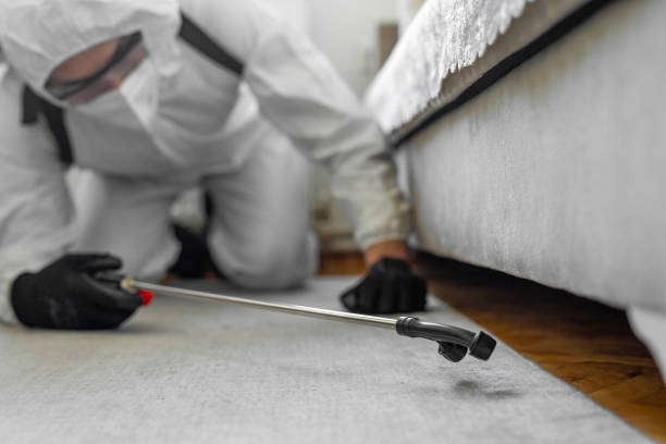 Professional Cockroach Control technician working in Stevens County County, MN